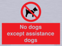 no-dogs-except-assistance-dogs~